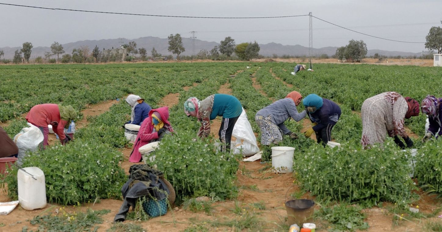 Photo: Marcel Crozet / ILO.